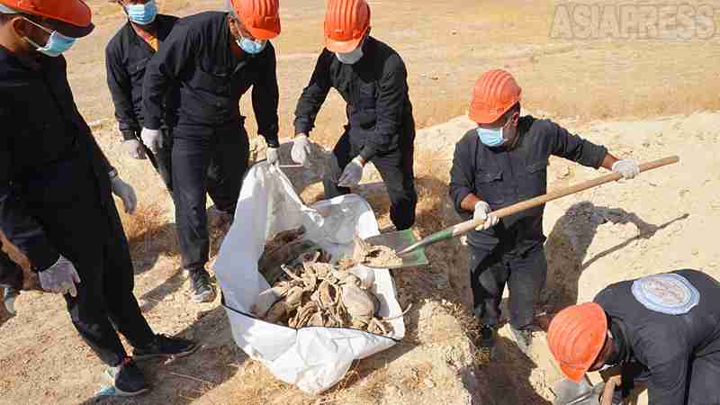 ＜写真9枚＞シリア・ラッカ　ISによる集団処刑の丘　今も見つかる遺体(玉本英子) - 個人 - Yahoo!ニュース