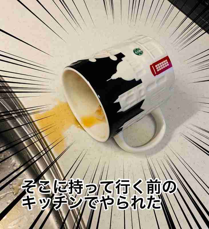 猫に倒されないコップ置きvs猫 人類が敗北した意外な盲点が話題に