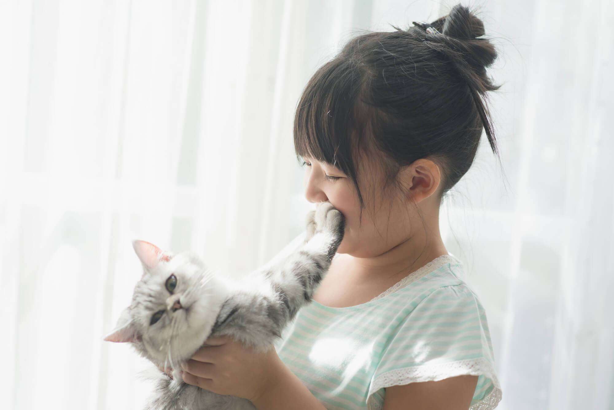 まるで抜け殻...飼い主以外に抱っこされる猫の呆然とした表情に「魂ぬけてる?」