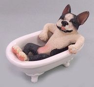 コロナ禍と関係ない些細な心配事を教えて!!!