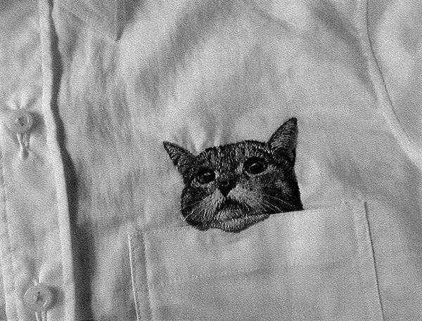 【衝撃事件の核心】「猫ちゃん」刺繍の主婦が巨大ブランドに挑んで勝った！　「Ｐ＆Ｊ」の上から目線に腹を据えかね…（1/5ページ） - 産経WEST