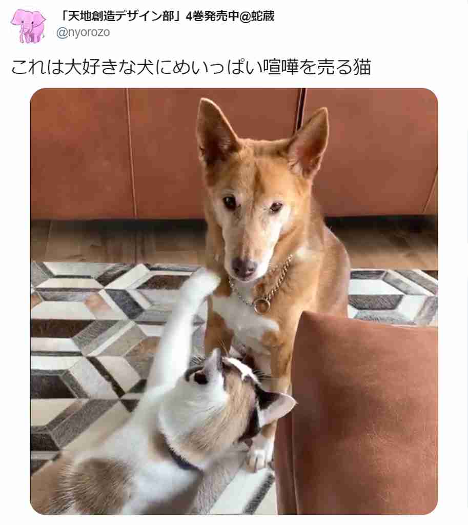 猫に倒されないコップ置きvs猫 人類が敗北した意外な盲点が話題に