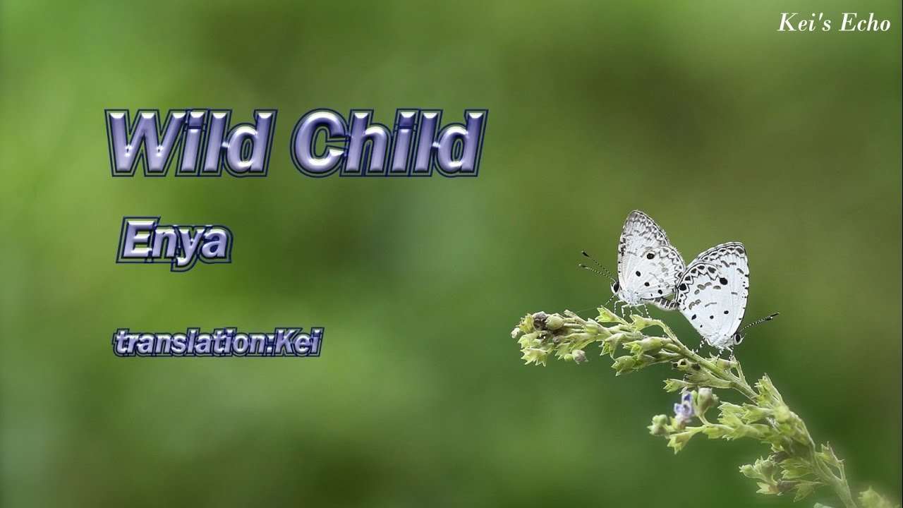 Wild Child【訳詞付】- Enya - YouTube