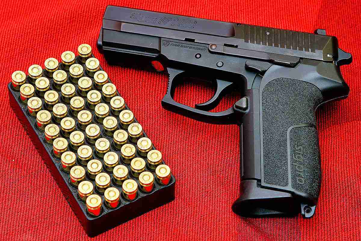 SIG Pro - Wikipedia