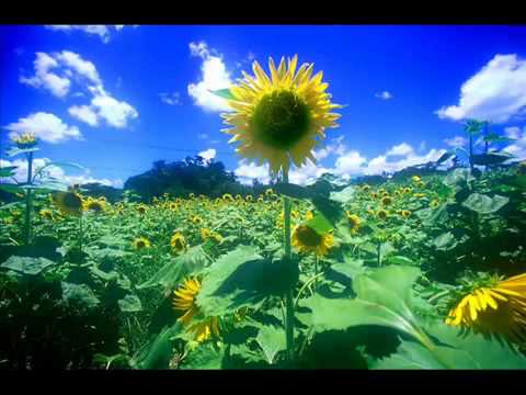 Summer Joe hisaishi - YouTube