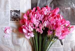 【匂いスイートピーウォーター（Tokyo産）アンフルラージュ製法】 - 伽羅パフュームナチュレル