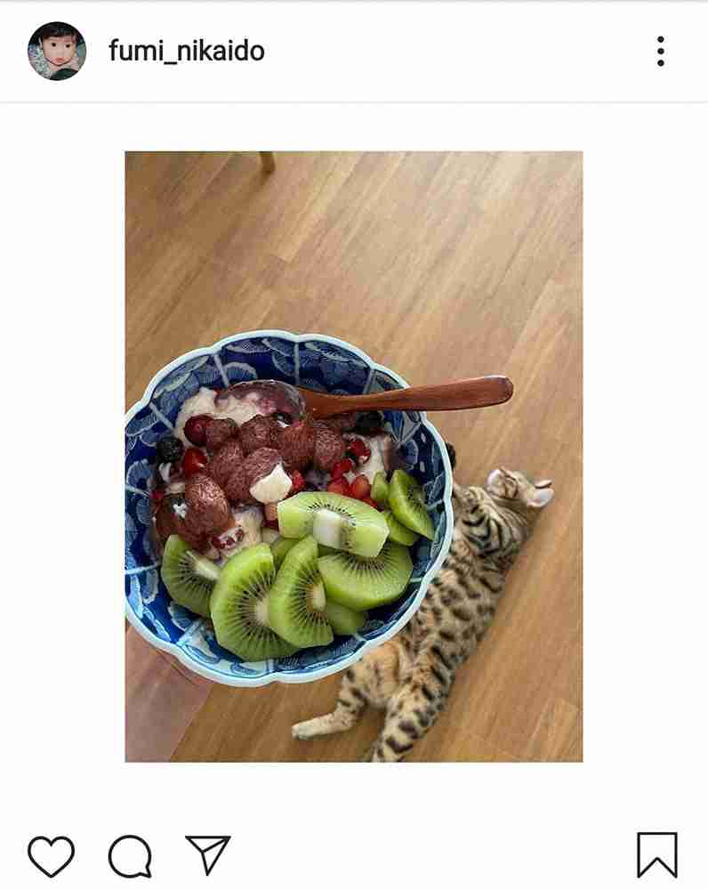 二階堂ふみ 不思議なデザート写真投稿 宙に浮いてる?猫の遠近感が…