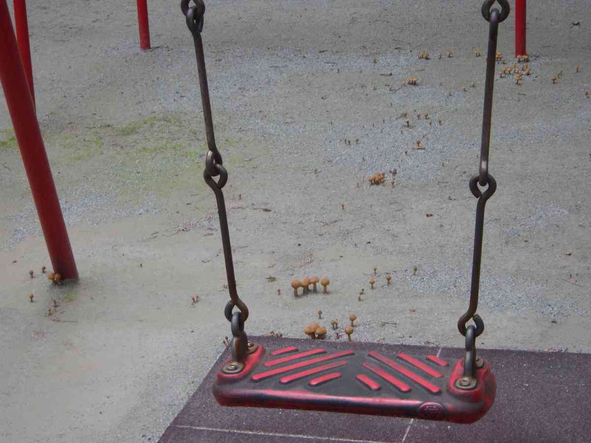 子供のいない遊具広場に「キノコの行列」　休園続ける動物園の光景に「そんなに、経つのか...」
