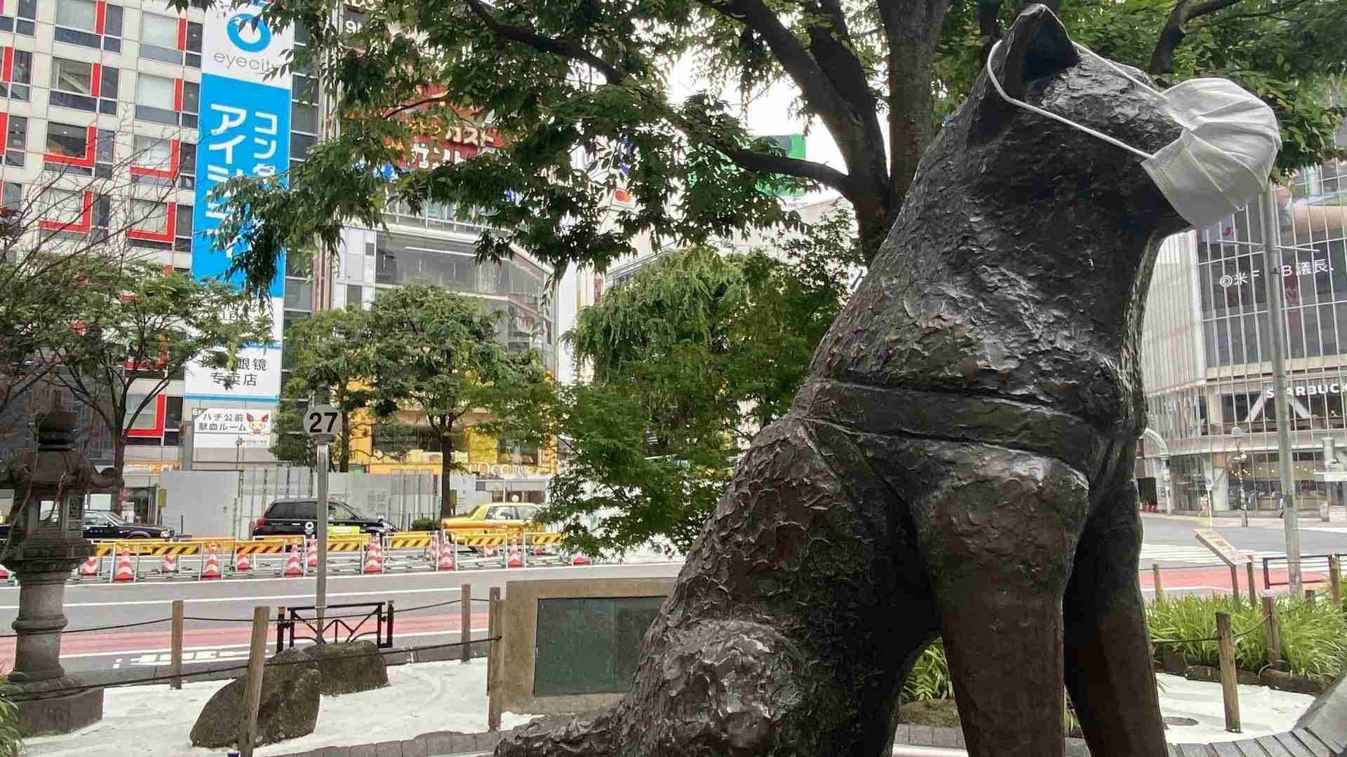 WHOがマスクに関する方針転換　無症状者のマスク着用によるエビデンス(忽那賢志) - 個人 - Yahoo!ニュース