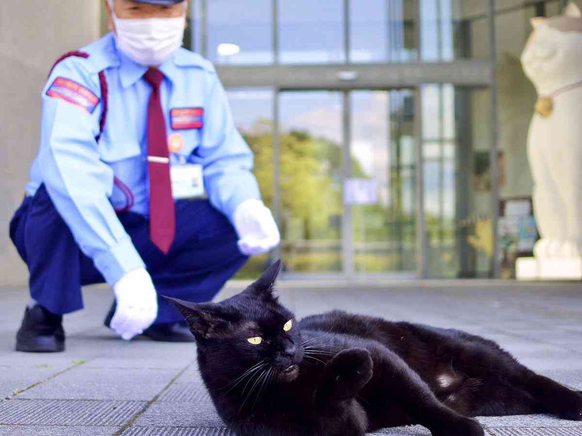 猫と警備員、2カ月ぶりに再会　マスク姿でも分かったよ