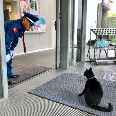 猫と警備員、2カ月ぶりに再会　マスク姿でも分かったよ：朝日新聞デジタル