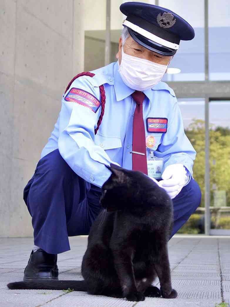 猫と警備員、2カ月ぶりに再会　マスク姿でも分かったよ