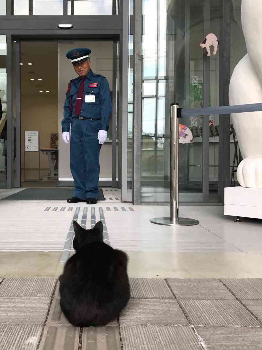 「ここに仲間の気配がするニャ…」尾道市“猫まみれ展”に黒猫が侵入を試みる事案が発生