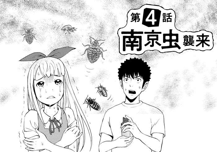 スーツケースに潜んでいた卵がホテルで孵化している!? 南京虫襲来／国籍を捨てた男が語る 中国のヤバすぎる話 ③ | ダ・ヴィンチニュース
