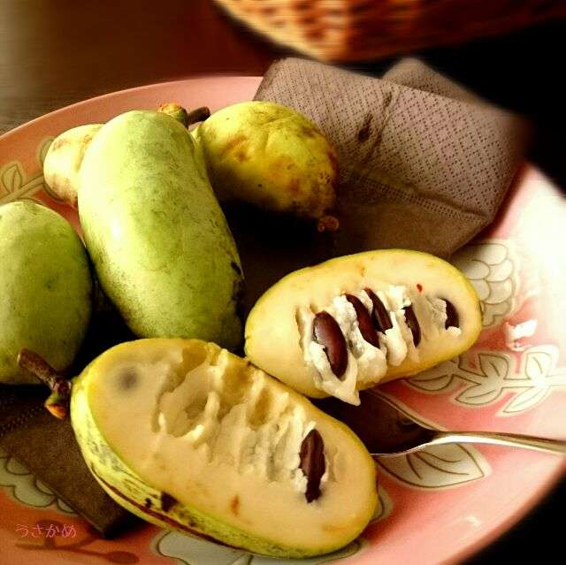 賞味・消費期限が短いグルメ
