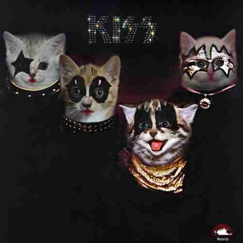 ロックの名盤を「猫ジャケット」にしてみました｜音楽情報サイトrockinon.com(ロッキング・オン ドットコム)