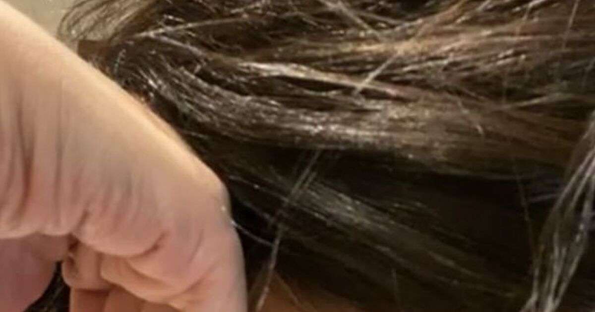 【神回ならぬ髪回】窪塚洋介さんがインスタライブ中に寝落ち、頭皮と自宅カーテンをファンが見守る→朝になり息子さんが登場し無事配信終了 - Togetter