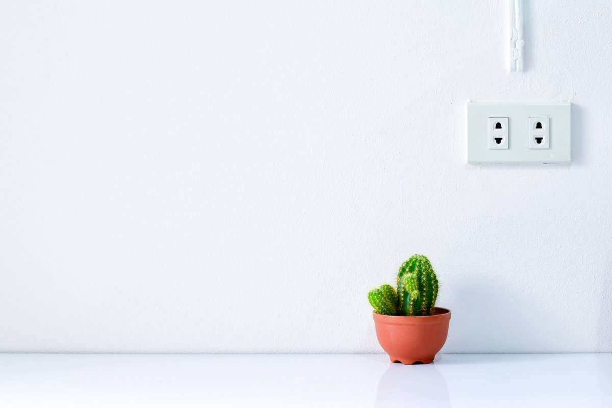 持たない暮らし の大誤算 新型コロナで直面した ミニマリスト の悲劇 ガールズちゃんねる Girls Channel