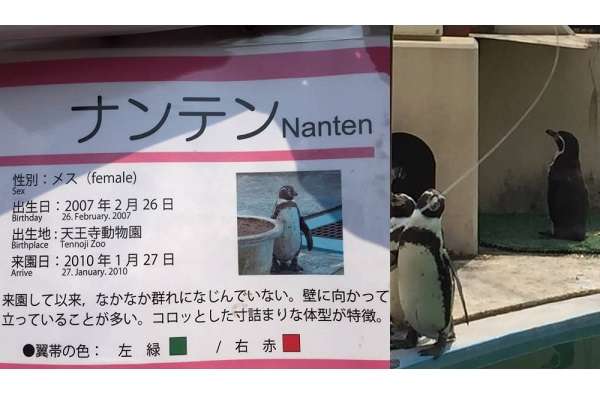 可愛い画像選手権