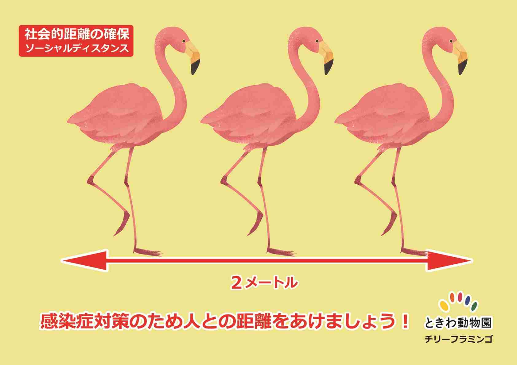 「さすが近大」としか言いようがない　近畿大学が導入した「感染予防マグロ」が話題に