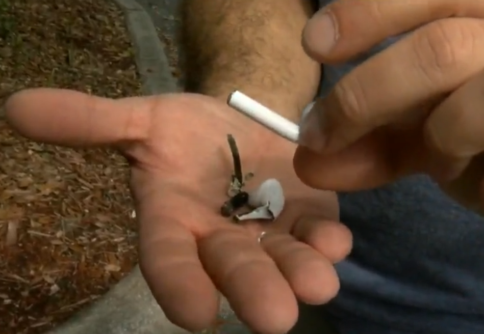 トレーニング中にAirPodsが爆発する事故が米フロリダで発生。Appleが原因調査中 - Engadget 日本版