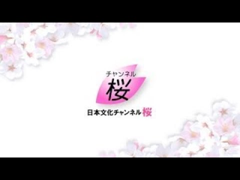 6.12 自由・人権より金儲けか！香港に自由を！財政出動100兆円！消費税ゼロ！緊急国民行動 - YouTube