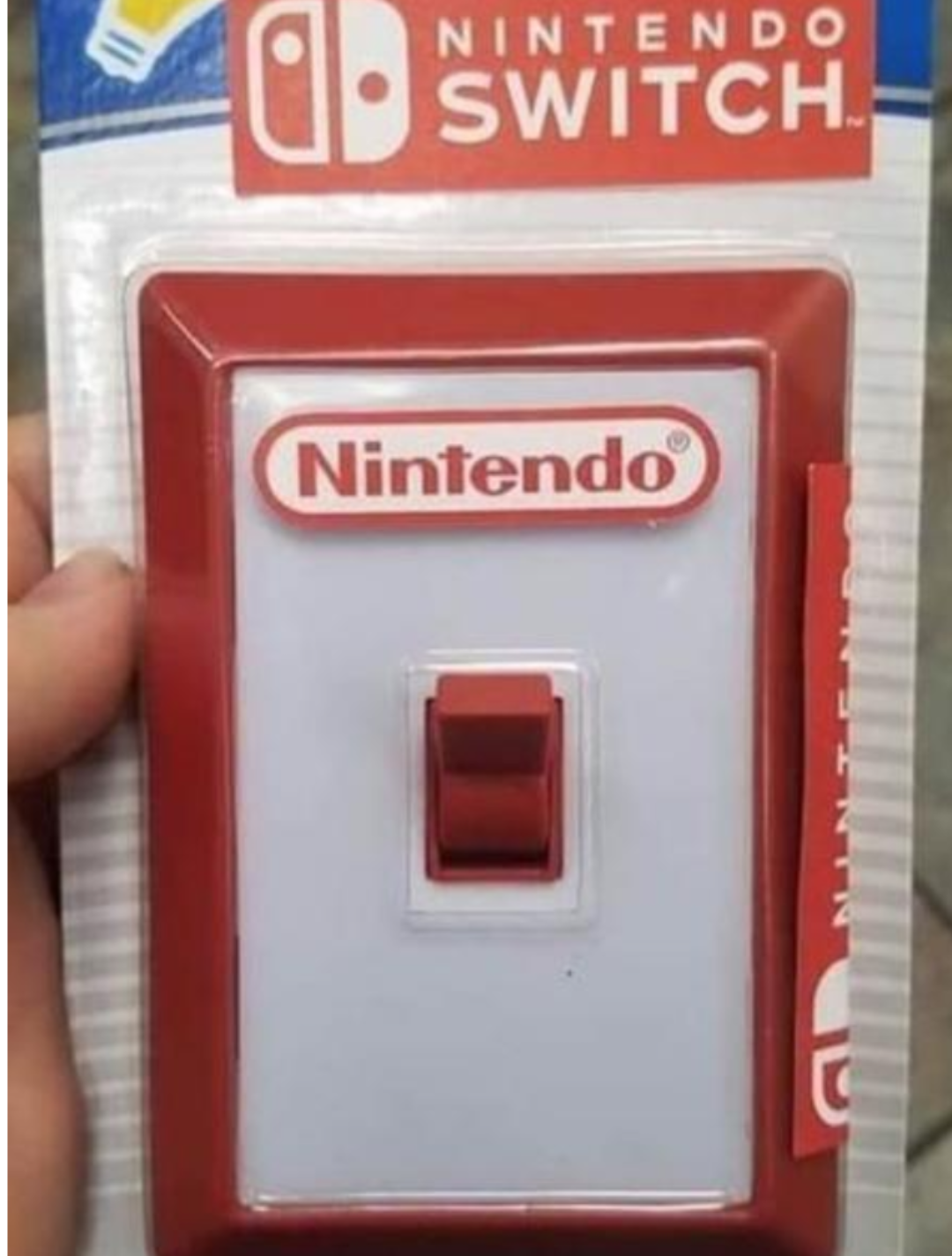 小学生のニンテンドーSwitch事情