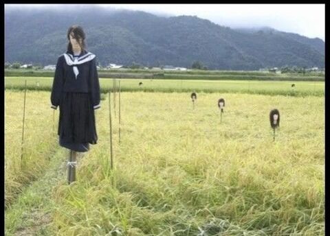 【閲覧注意】怖い画像選手権