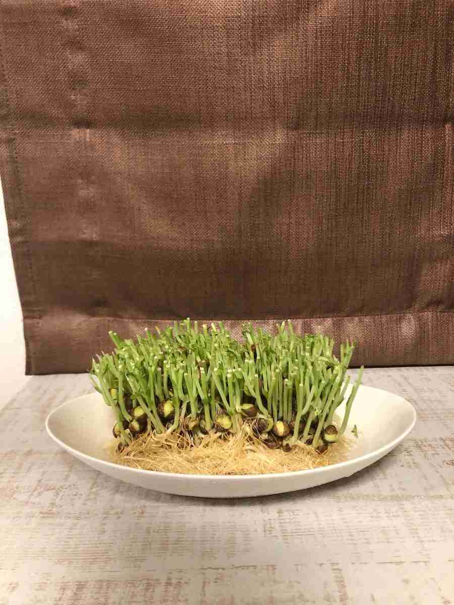 好きな芸能人や推しの恋愛、結婚についてどう感じますか？