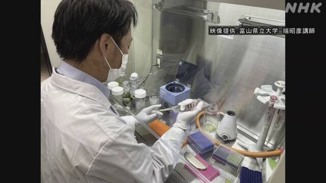 下水から新型コロナウイルス検出に成功 第2波察知に期待 | NHKニュース
