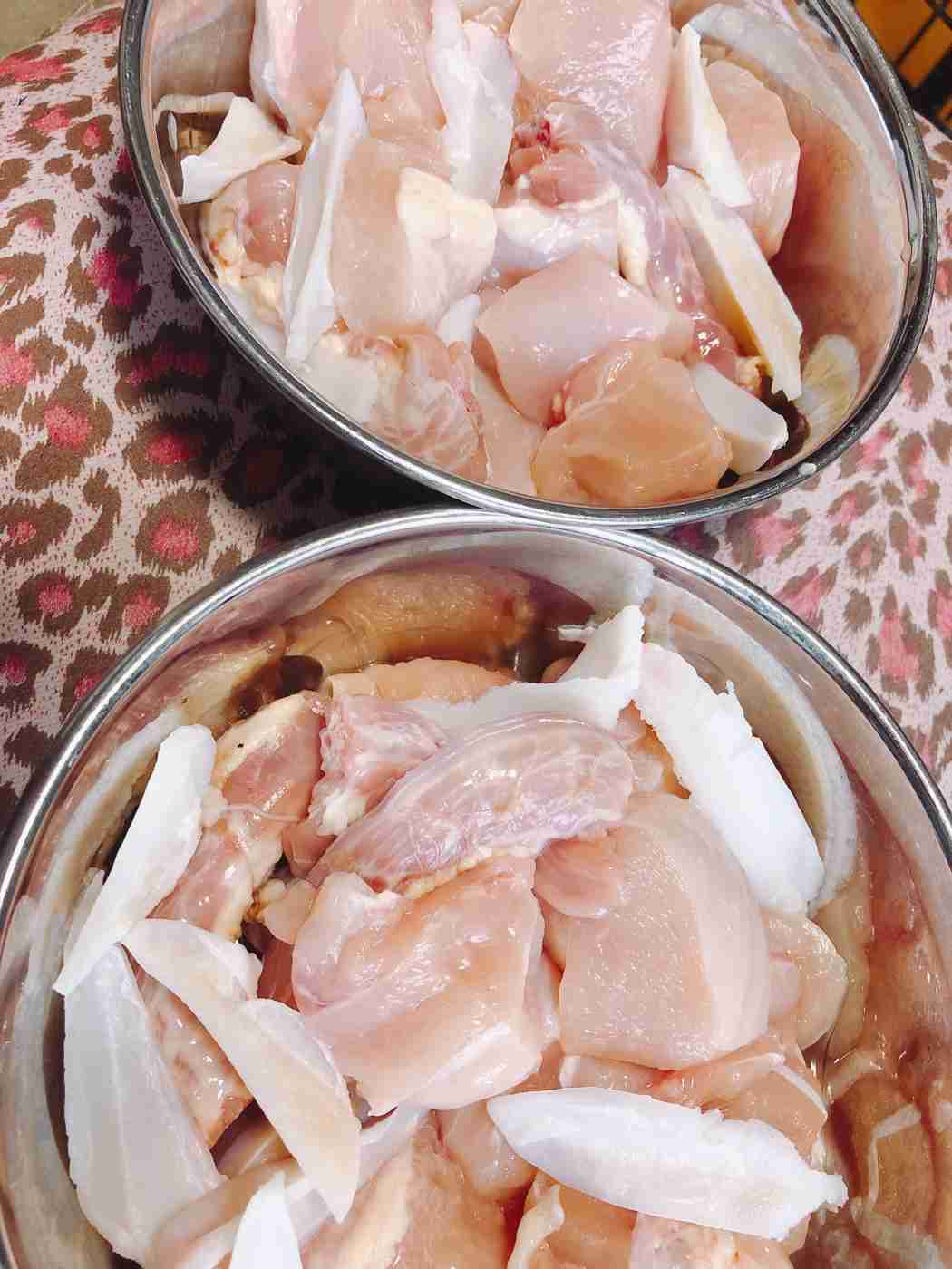 サーバルキャットの朝ごはん – 日本初！サーバルキャットに会える猫カフェ N2 cats