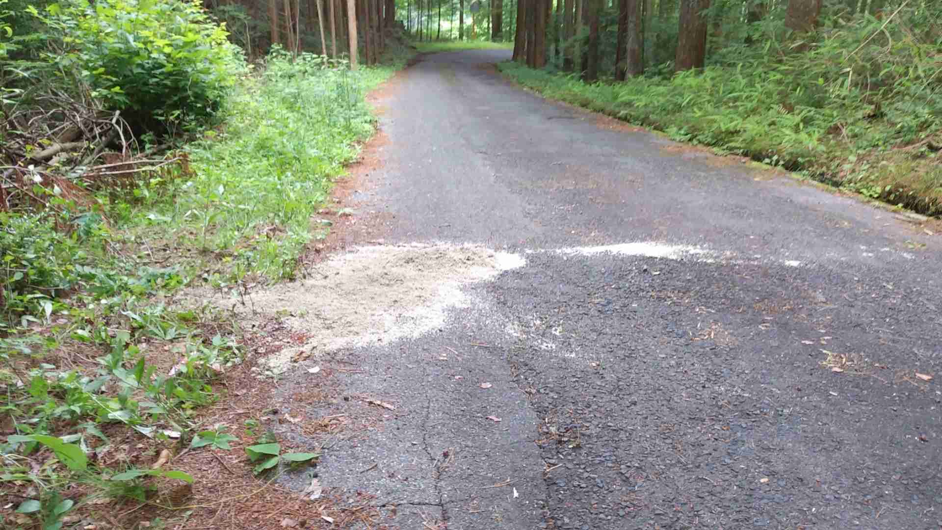 動物に襲われた？　83歳男性死亡　血を流して倒れているのを家族が発見　「クマに襲われたようだ」と通報（NBS長野放送） - Yahoo!ニュース