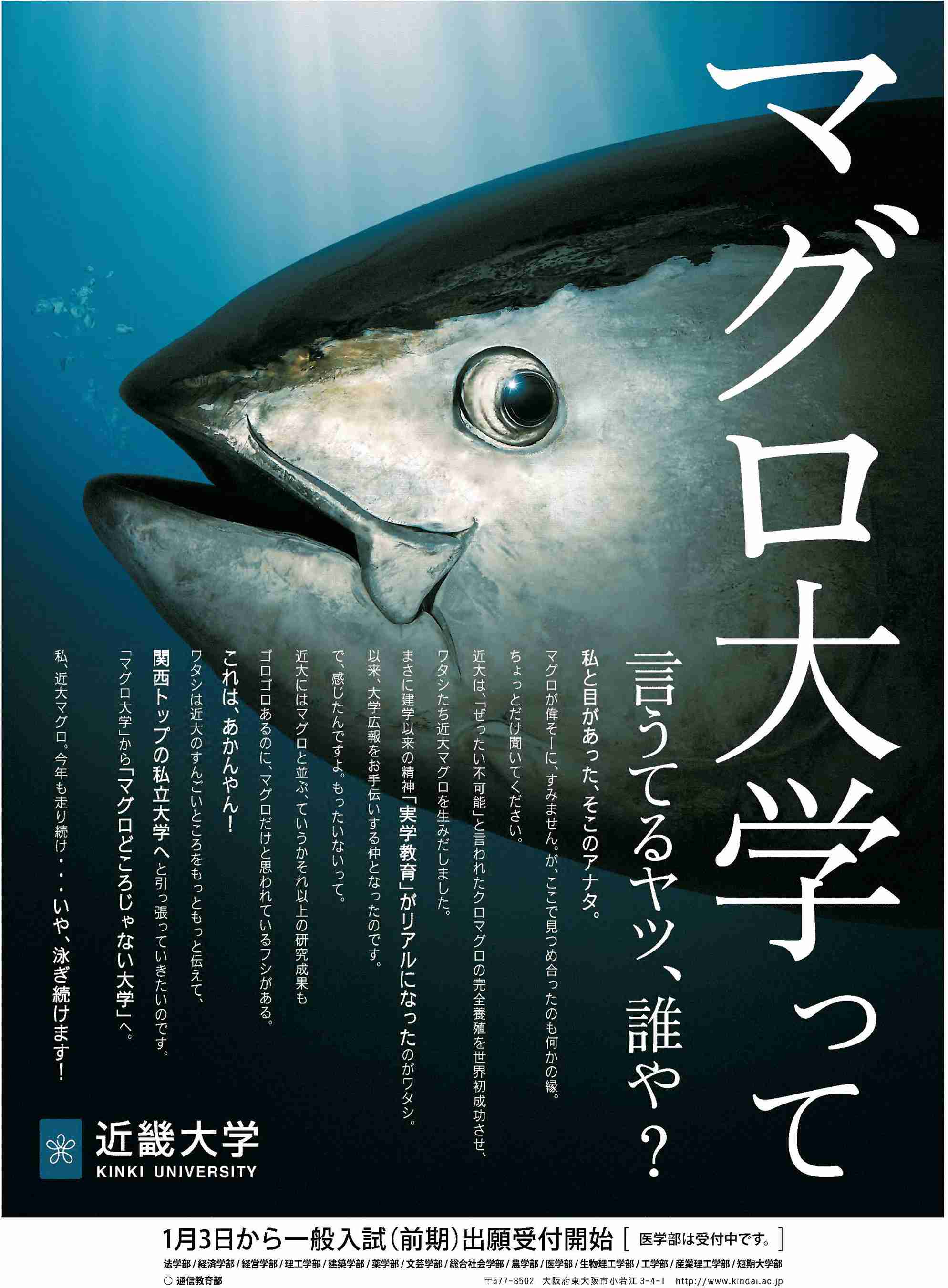 「さすが近大」としか言いようがない　近畿大学が導入した「感染予防マグロ」が話題に