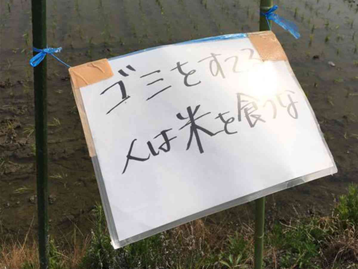 農家を苦しめるマナーの悪い人　田んぼ前にあった２枚の貼り紙に「許せない」の声  –  grape [グレイプ]