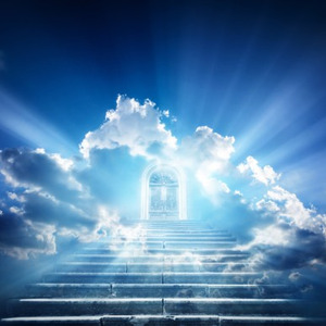 死後の世界語りたい