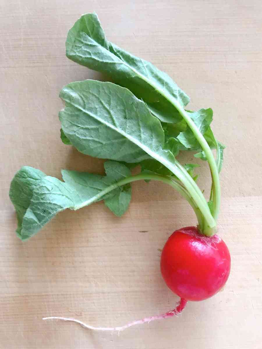 好きな芸能人や推しの恋愛、結婚についてどう感じますか？