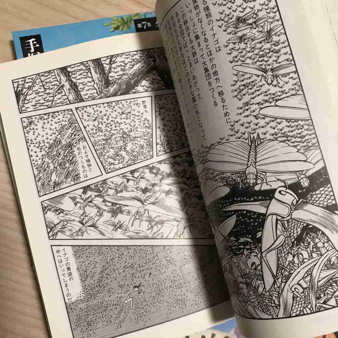 閲覧注意 突然変異で獰猛化 4000億匹のバッタ 日本襲来の可能性 ガールズちゃんねる Girls Channel