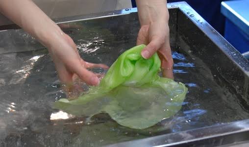色んな食品サンプルがみたい！