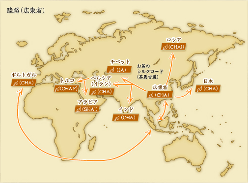 珈琲、紅茶、お茶どれが好き