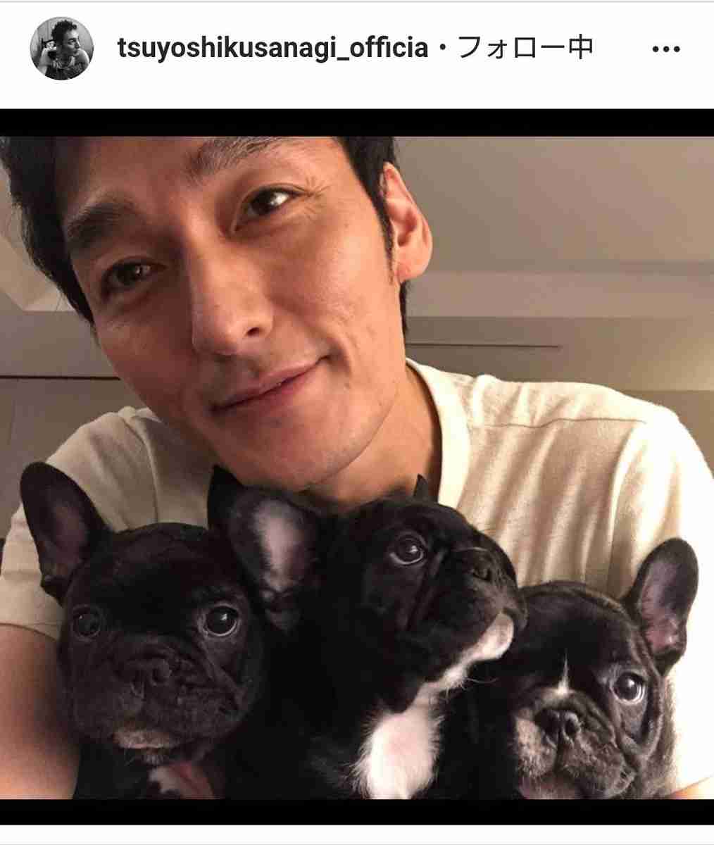 草なぎ剛、愛犬クルミちゃんが産んだ子犬たちとのショットで
