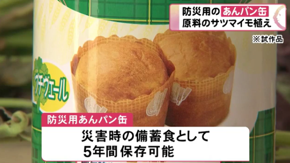 “高校生ら”が開発中の「あんパン缶詰」…“あん”の原料・安納芋植える 備蓄食として5年間保存可能