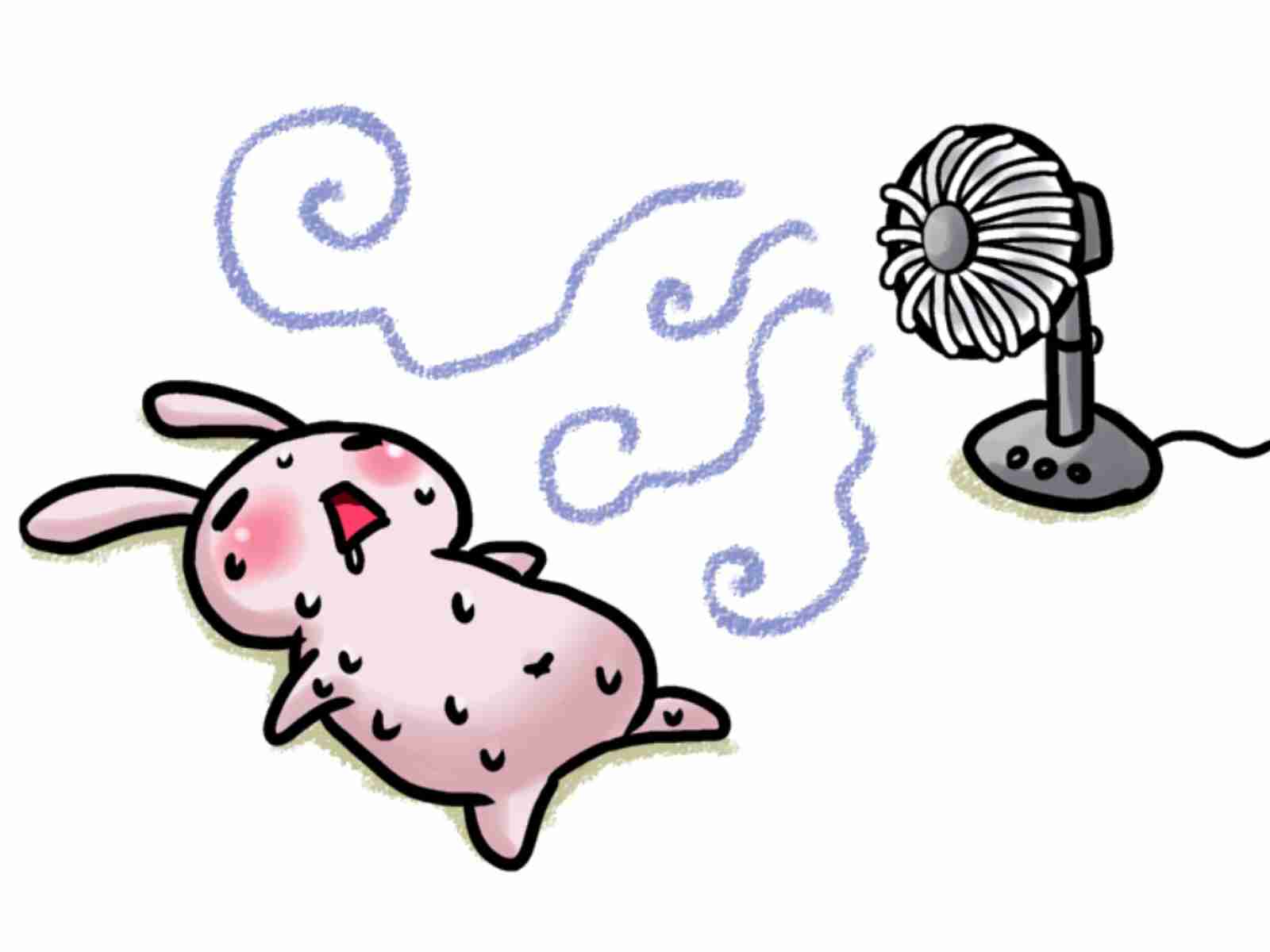 医師に連絡する時期