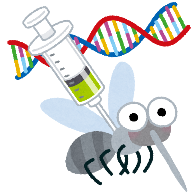 遺伝子操作でメスの蚊をオスに変えることに成功！もう蚊に刺される心配はしなくてOK？