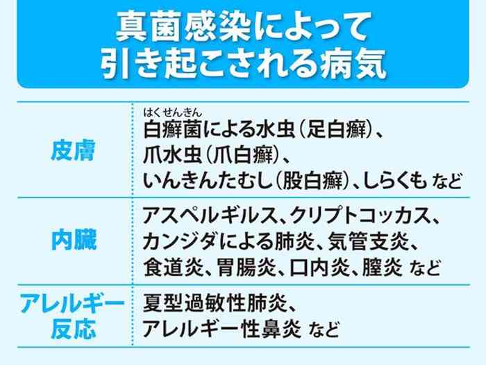 長引く梅雨、カビで発症する真菌症に要注意 - ウェザーニュース