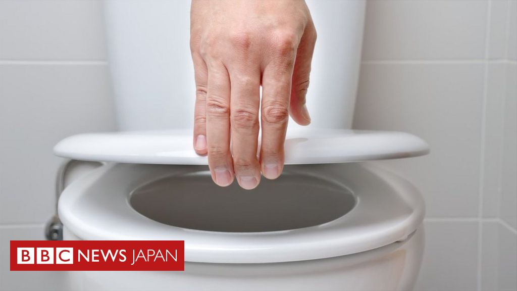 ふたをしないでトイレを流すと「飛まつが90センチ飛散」＝研究 - BBCニュース