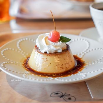 昔懐かしい「固めプリン」　流行のきっかけは「エモい」？
