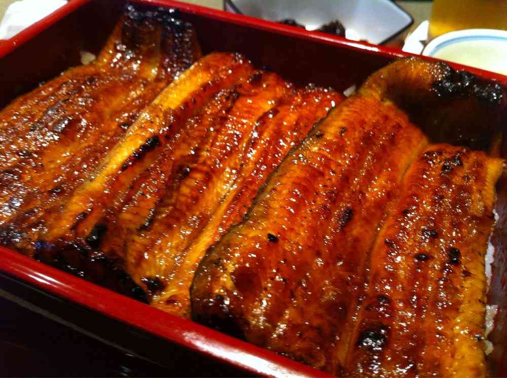 ウナギ、安くなるかも？　稚魚、過去最高2年前に比べ「半値」に