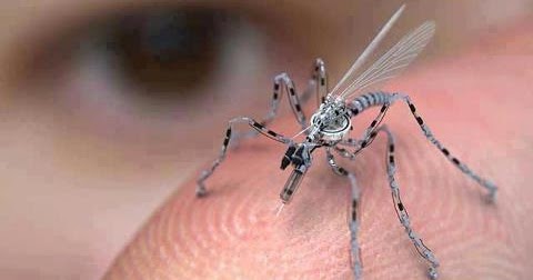 Chopperの気ままなブログ: 番外編：ナノテクノロジーの蚊型ラジコン飛行機？