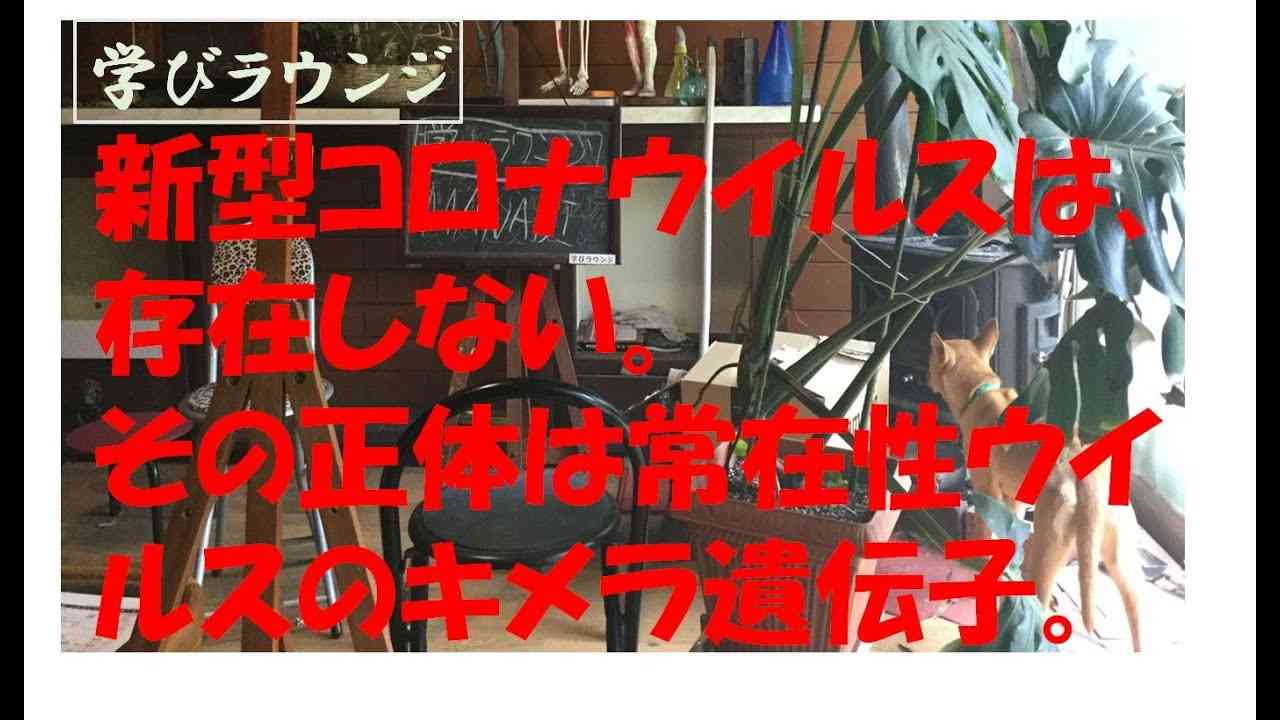 新型コロナウイルスは、存在しない。その正体は常在性ウイルスのキメラ遺伝子。 - YouTube