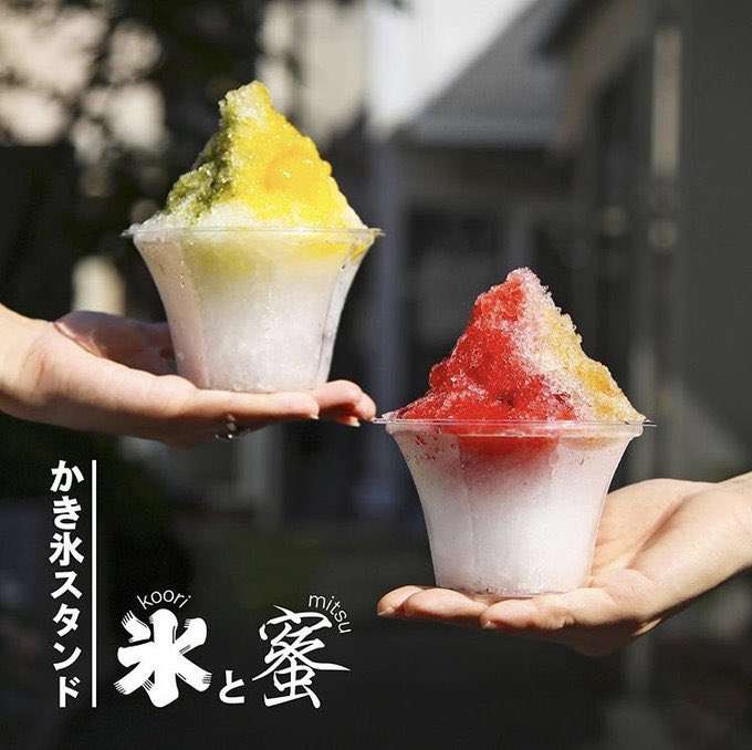 【虫注意】 “タガメシロップ”かき氷が話題「夏といえば、タガメ」